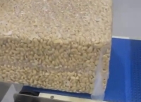 Máy Dò Kim Loại Cho Hạt Điều Đóng Thùng 22.68kg