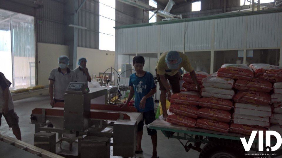 Máy Dò Kim Loại Cho Gạo Xuất Khẩu